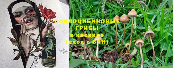 apvp Абаза