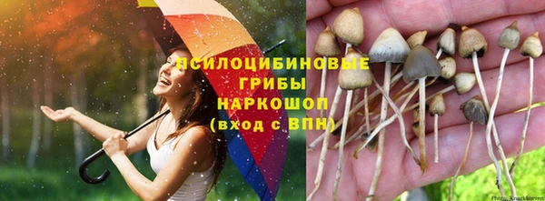 хмурый Алексеевка