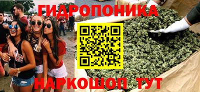 гидропоника Лесосибирск