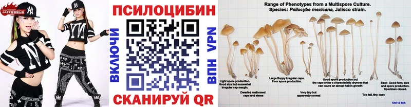 Псилоцибиновые грибы мухоморы  Грязи 