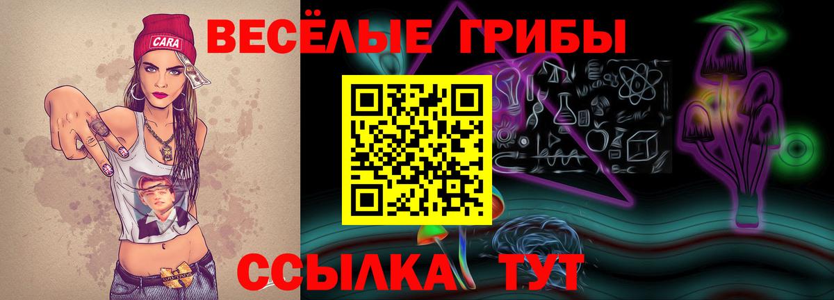 Грязи  Псилоцибиновые грибы мицелий  Вход с VPN 
