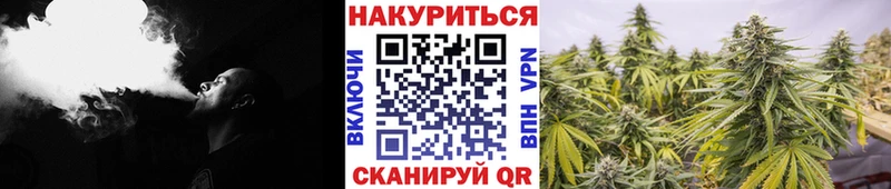МАРИХУАНА конопля  МЕГА как войти  Грязи  купить наркоту 